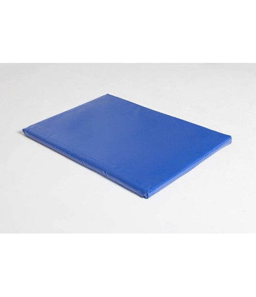 Disinfecting mat 85x60