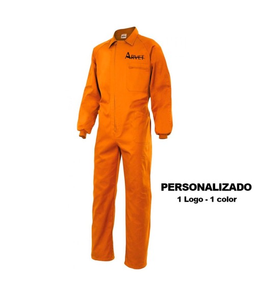 THIS ITEM IS CUSTOMIZED, The price that appears is for a 1 color se