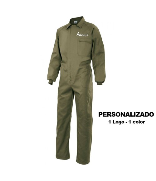THIS ITEM IS CUSTOMIZED, The price that appears is for a 1 color se
