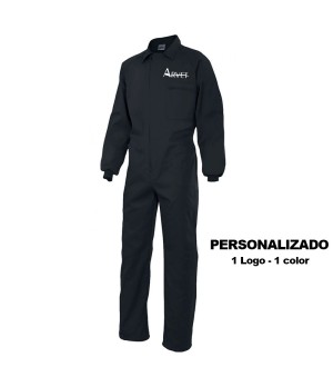 THIS ITEM IS CUSTOMIZED, The price that appears is for a 1 color se