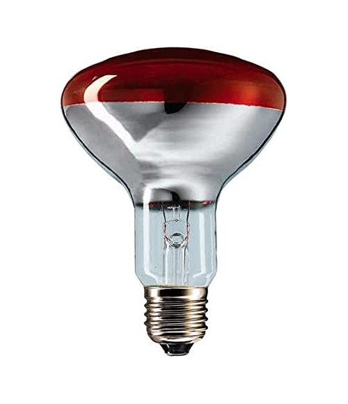 Infrared bulb to keep food warm and to support the breeding and car