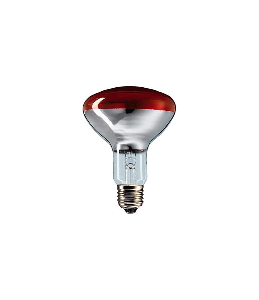 Infrared bulb to keep food warm and to support the breeding and car