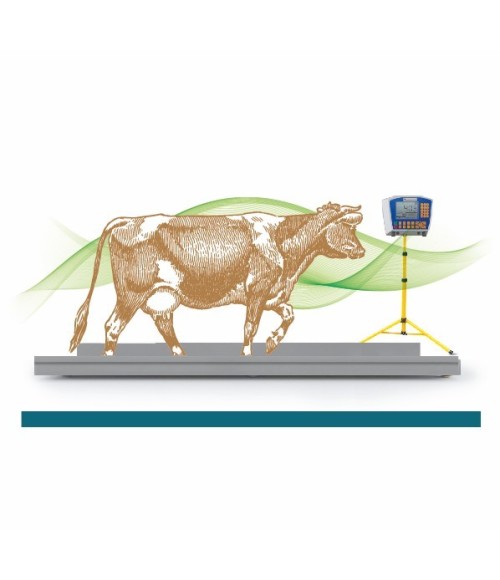 &nbsp 
Sistema electrónico de pesaje dinámico para bovinos.