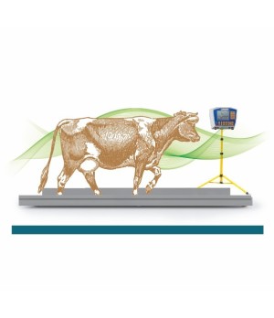 &nbsp 
Sistema electrónico de pesaje dinámico para bovinos.