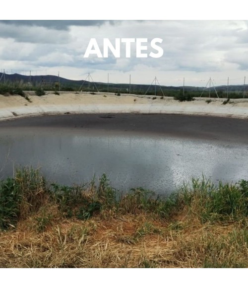 &nbsp 
Arexgan es un innovador material cerámico a granel q