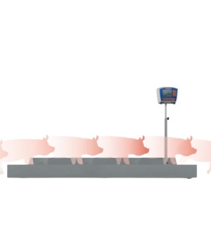 El sistema de pesaje CIMA Control Pig permite registrar el peso de 